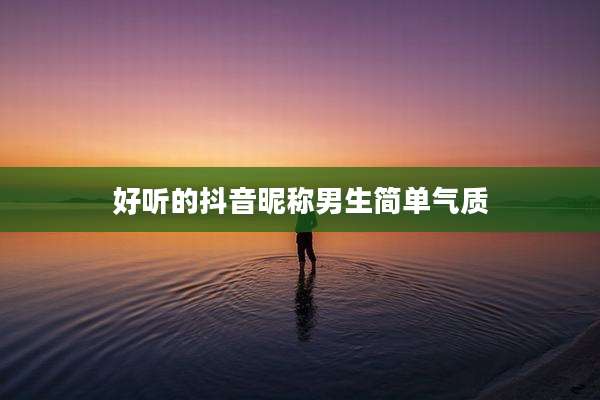好听的抖音昵称男生简单气质