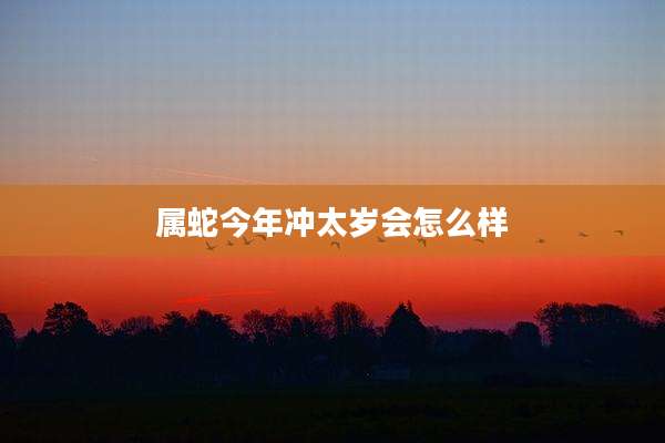 属蛇今年冲太岁会怎么样