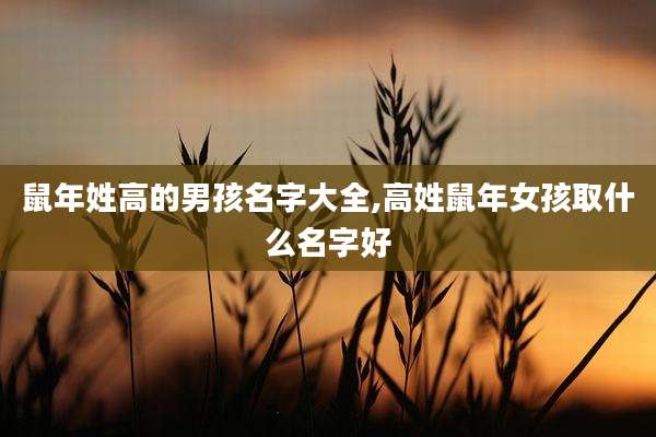 鼠年姓高的男孩名字大全,高姓鼠年女孩取什么名字好