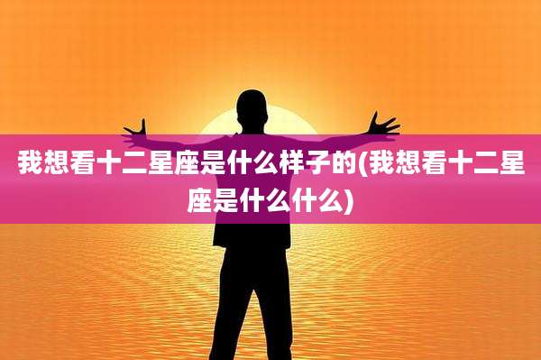 我想看十二星座是什么样子的(我想看十二星座是什么什么)