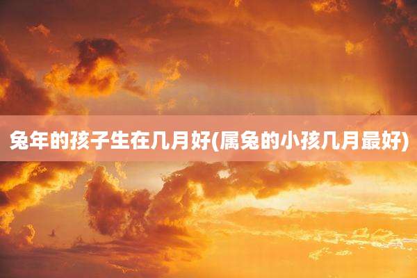 兔年的孩子生在几月好(属兔的小孩几月最好)