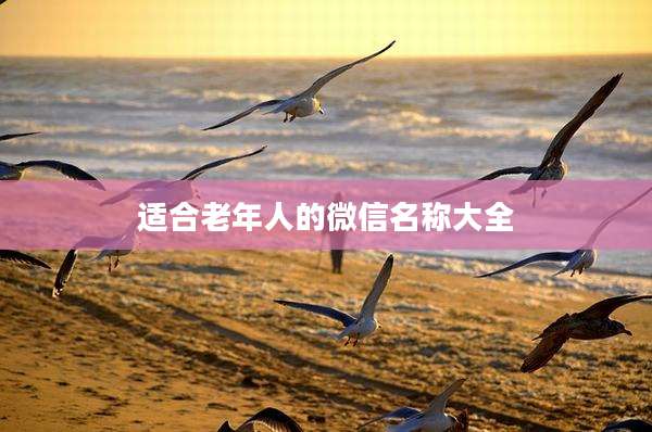 适合老年人的微信名称大全