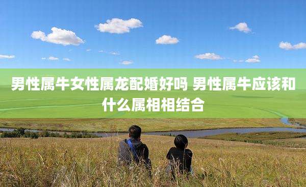 男性属牛女性属龙配婚好吗 男性属牛应该和什么属相相结合