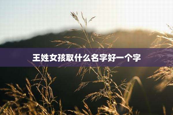 王姓女孩取什么名字好一个字