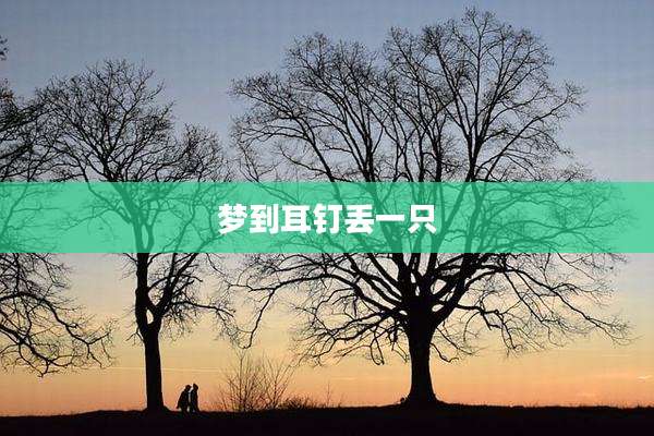 梦到耳钉丢一只
