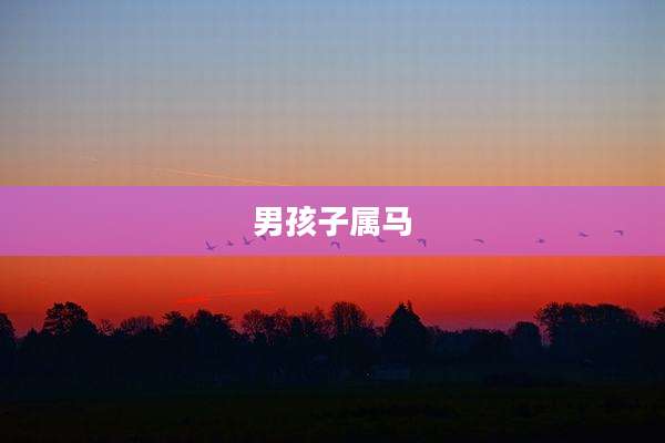 男孩子属马