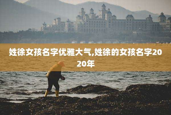 姓徐女孩名字优雅大气,姓徐的女孩名字2020年