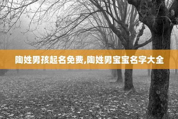 陶姓男孩起名免费,陶姓男宝宝名字大全