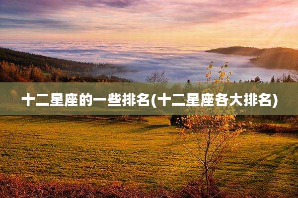 十二星座的一些排名(十二星座各大排名)