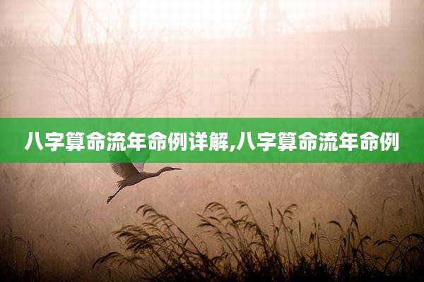 八字算命流年命例详解,八字算命流年命例