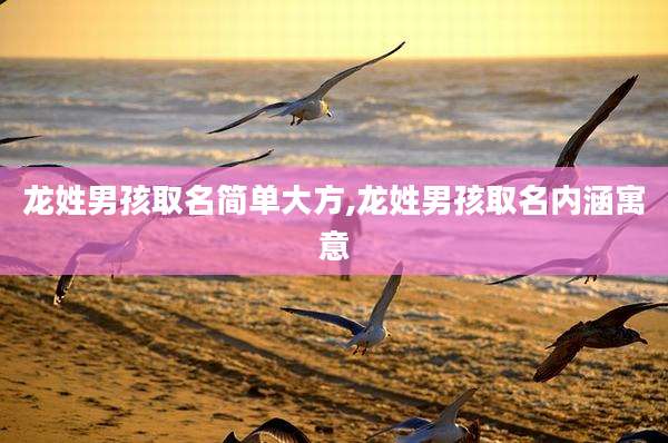 龙姓男孩取名简单大方,龙姓男孩取名内涵寓意