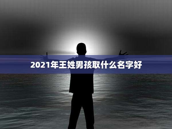 2021年王姓男孩取什么名字好