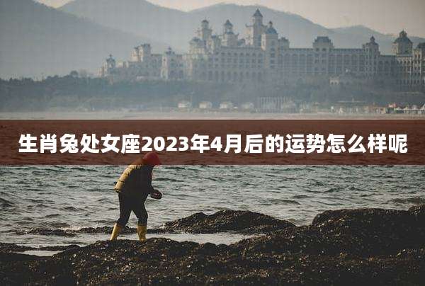 生肖兔处女座2023年4月后的运势怎么样呢