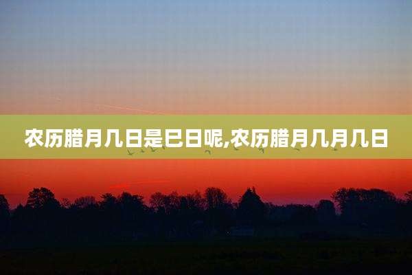 农历腊月几日是巳日呢,农历腊月几月几日
