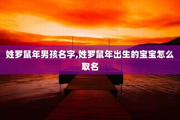姓罗鼠年男孩名字,姓罗鼠年出生的宝宝怎么取名