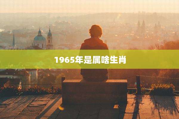 1965年是属啥生肖