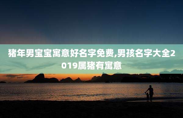 猪年男宝宝寓意好名字免费,男孩名字大全2019属猪有寓意