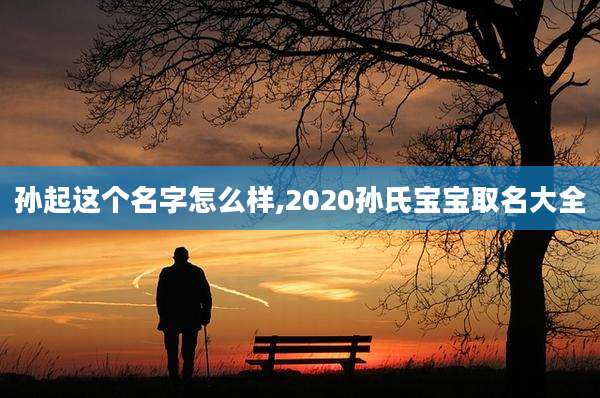 孙起这个名字怎么样,2020孙氏宝宝取名大全
