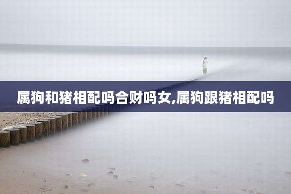 属狗和猪相配吗合财吗女,属狗跟猪相配吗