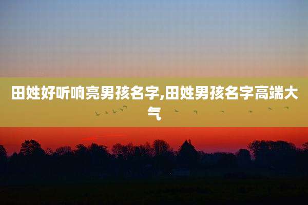 田姓好听响亮男孩名字,田姓男孩名字高端大气