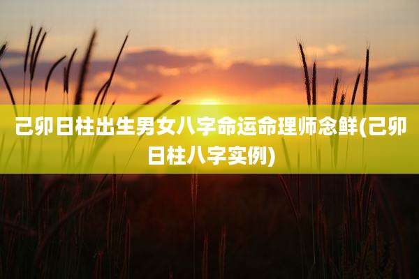 己卯日柱出生男女八字命运命理师念鲜(己卯日柱八字实例)