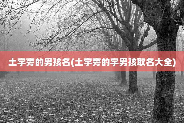 土字旁的男孩名(土字旁的字男孩取名大全)