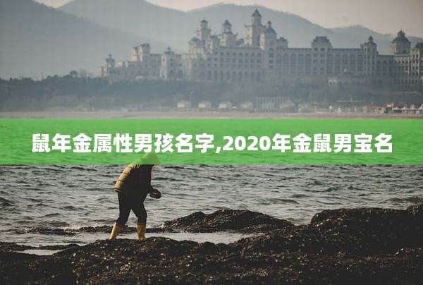 鼠年金属性男孩名字,2020年金鼠男宝名