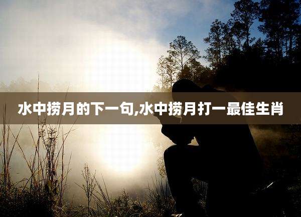 水中捞月的下一句,水中捞月打一最佳生肖