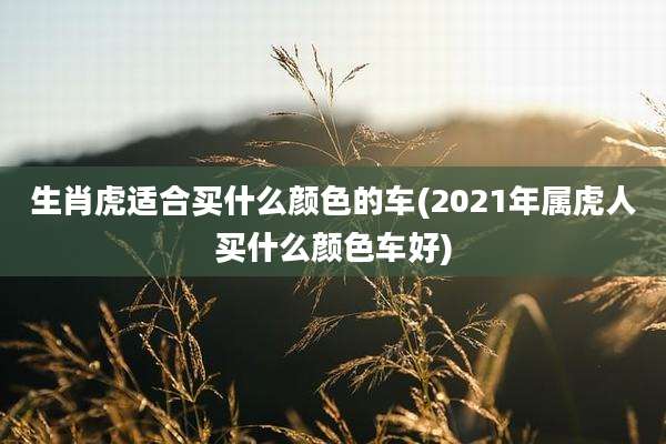 生肖虎适合买什么颜色的车(2021年属虎人买什么颜色车好)