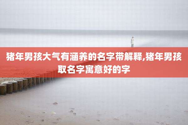 猪年男孩大气有涵养的名字带解释,猪年男孩取名字寓意好的字