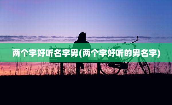 两个字好听名字男(两个字好听的男名字)