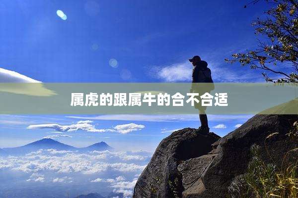属虎的跟属牛的合不合适
