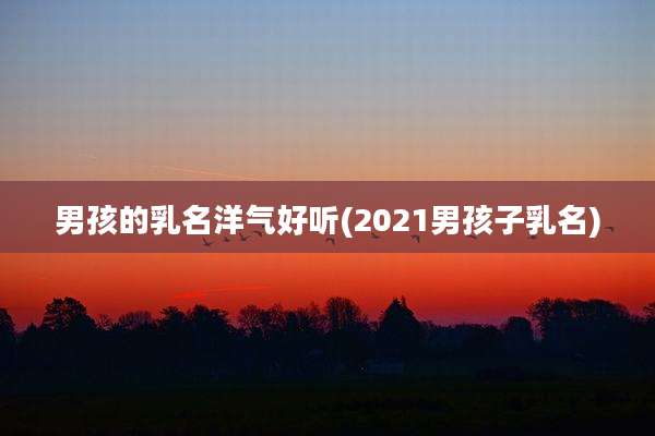 男孩的乳名洋气好听(2021男孩子乳名)