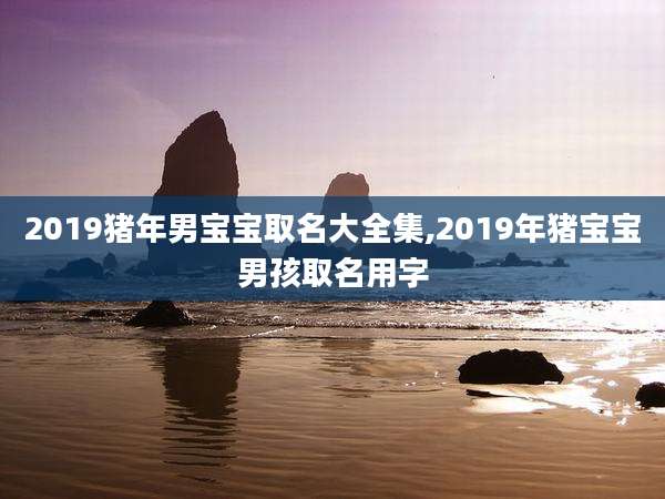 2019猪年男宝宝取名大全集,2019年猪宝宝男孩取名用字