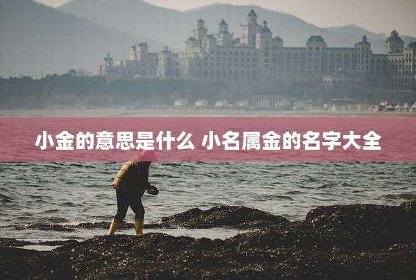 小金的意思是什么 小名属金的名字大全