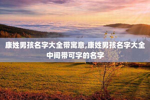 康姓男孩名字大全带寓意,康姓男孩名字大全中间带可字的名字