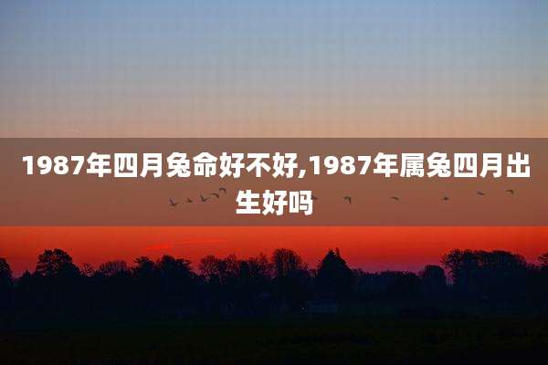1987年四月兔命好不好,1987年属兔四月出生好吗