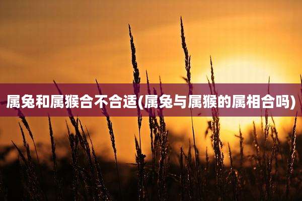 属兔和属猴合不合适(属兔与属猴的属相合吗)
