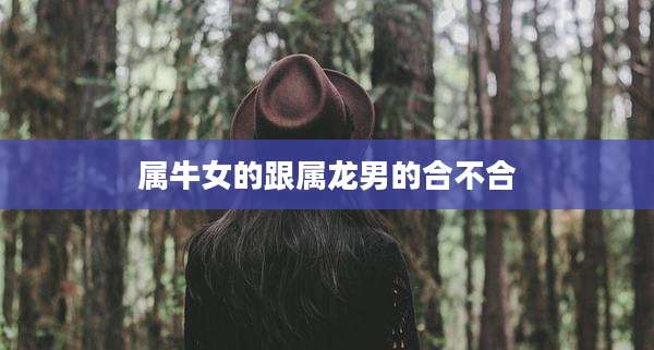 属牛女的跟属龙男的合不合