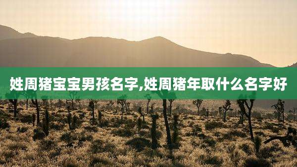 姓周猪宝宝男孩名字,姓周猪年取什么名字好