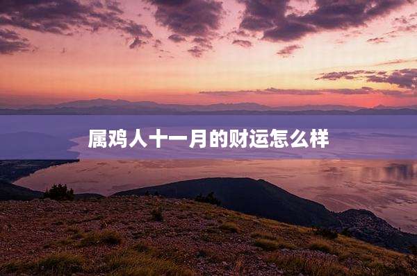 属鸡人十一月的财运怎么样