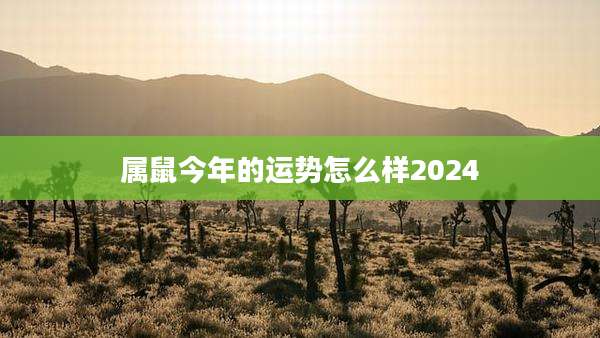 属鼠今年的运势怎么样2024