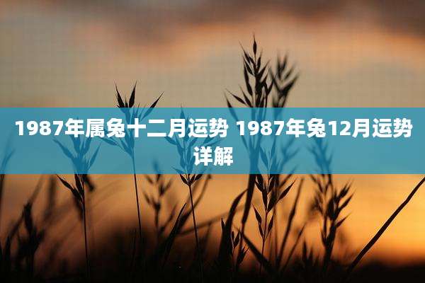 1987年属兔十二月运势 1987年兔12月运势详解