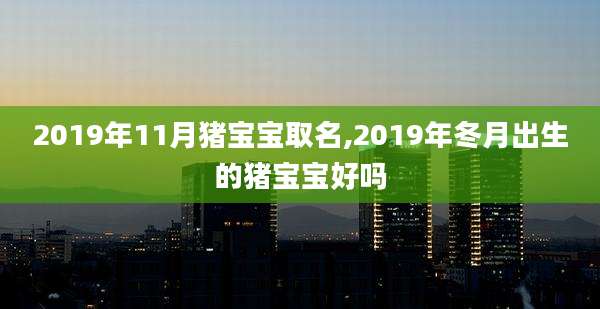 2019年11月猪宝宝取名,2019年冬月出生的猪宝宝好吗