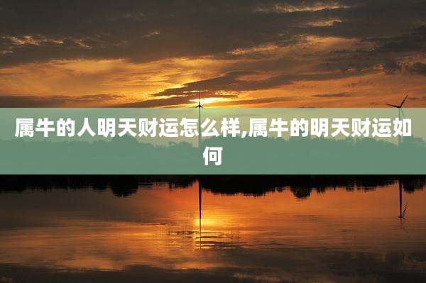 属牛的人明天财运怎么样,属牛的明天财运如何