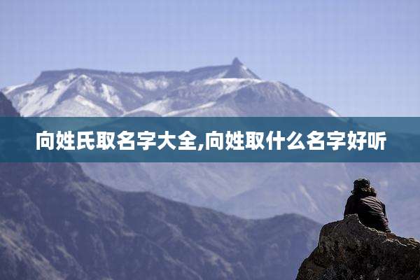 向姓氏取名字大全,向姓取什么名字好听