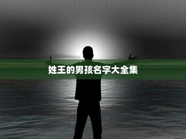 姓王的男孩名字大全集