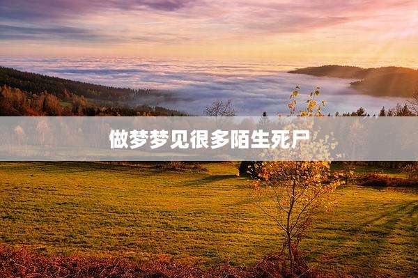 做梦梦见很多陌生死尸