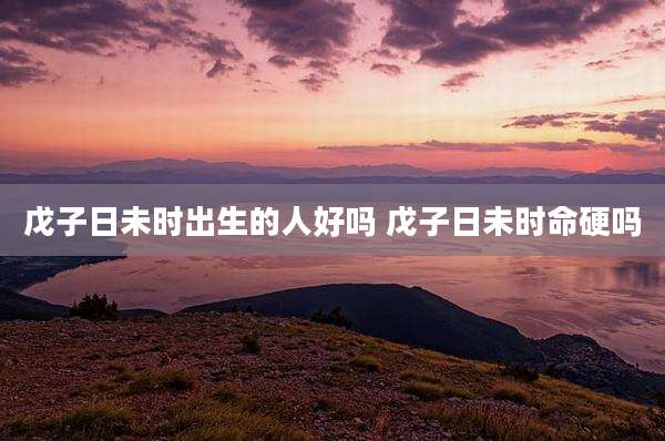 戊子日未时出生的人好吗 戊子日未时命硬吗