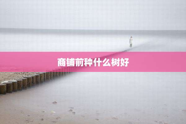 商铺前种什么树好